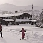 Oigardseter Fjellstue فندق 3*