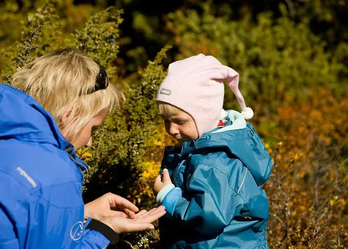 Oigardseter Fjellstue Otel Høvringen