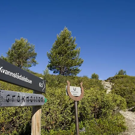 Oigardseter Fjellstue 3*