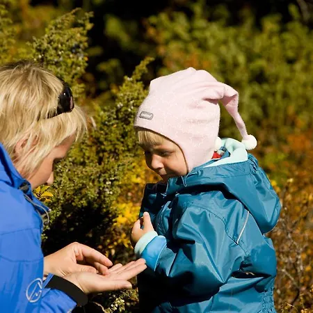 Oigardseter Fjellstue 호텔 호브링겐