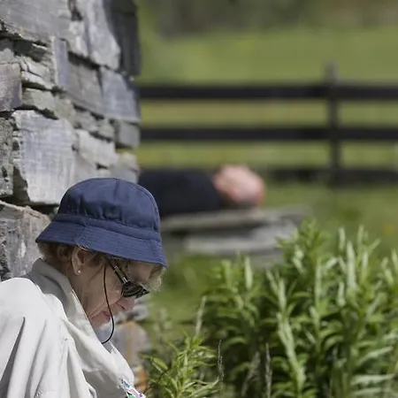 Oigardseter Fjellstue 호브링겐