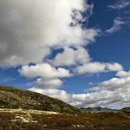 호텔 Oigardseter Fjellstue