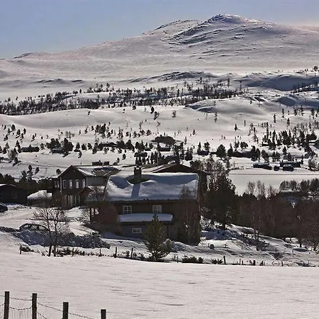 호텔 Oigardseter Fjellstue 3*